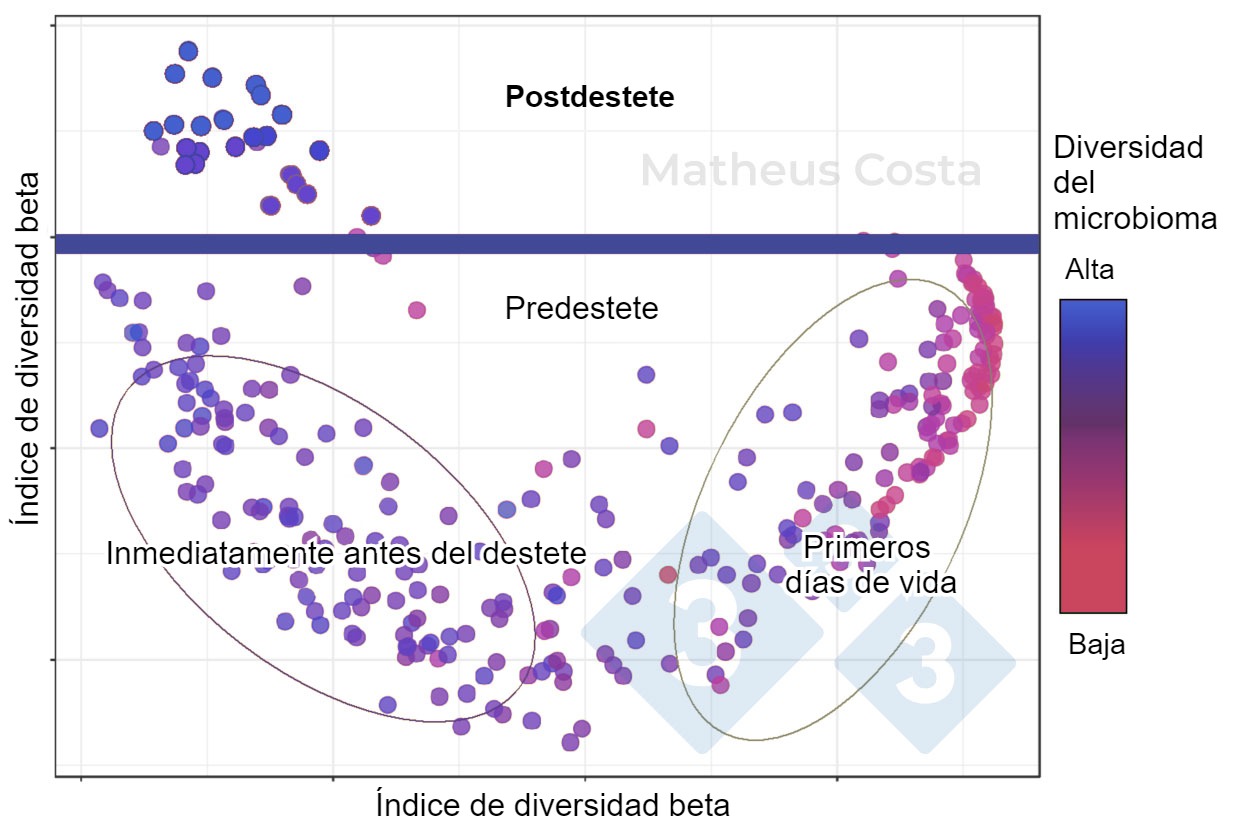 <p>Figura 1. Diagrama de dispersión que muestra las asociaciones entre la composición del microbioma de los cerdos durante los primeros días de vida (0-7 días), inmediatamente antes del destete (21 días) y después del destete (100 días). El mayor cambio se observa entre las muestras predestete y postdestete. La diversidad alfa alcanza su máximo después del destete (mostrada como "diversidad del microbioma").</p>
